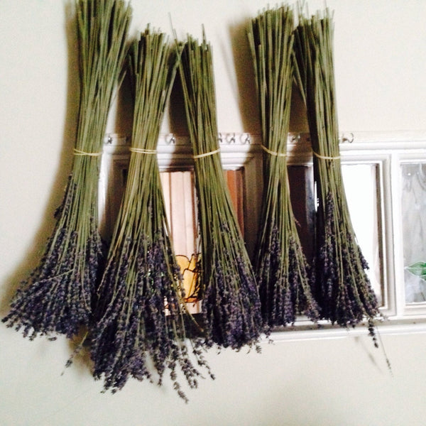 Bio Active Massage Oil